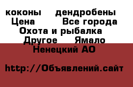 коконы    дендробены › Цена ­ 25 - Все города Охота и рыбалка » Другое   . Ямало-Ненецкий АО